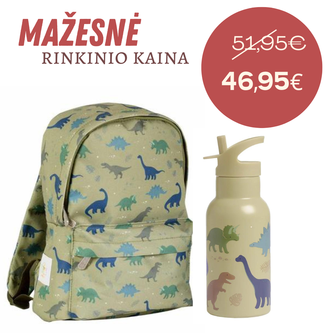 Rinkinys kuprinė ir gertuvė Dinosaurs
