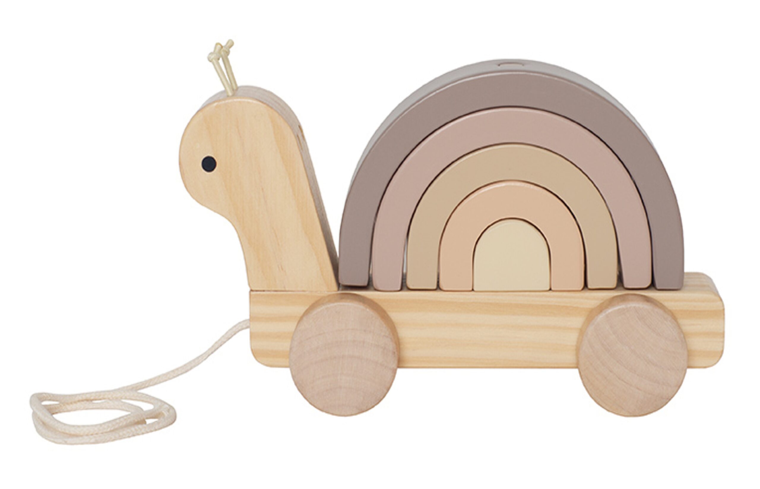 Medinis traukiamas žaislas SNAIL