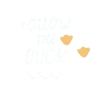Fllow