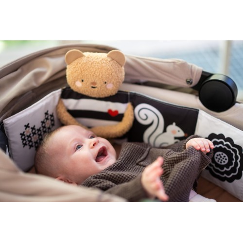Taf toys minkšta knygutė Snuggle Bear - Image 4
